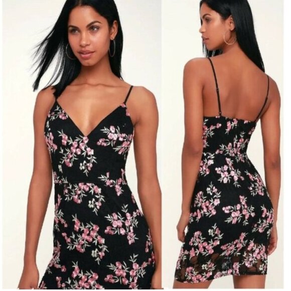Lulu's Lace Embroidered Bodycon Dress compared to Madewell Sz XS - Picture 7 of 8
